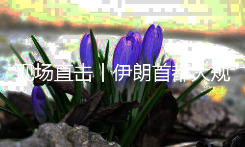 现场朗首团结直击展示都大丨伊规模国家集会