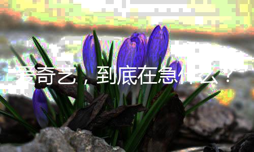 爱奇艺，在急到底什么
