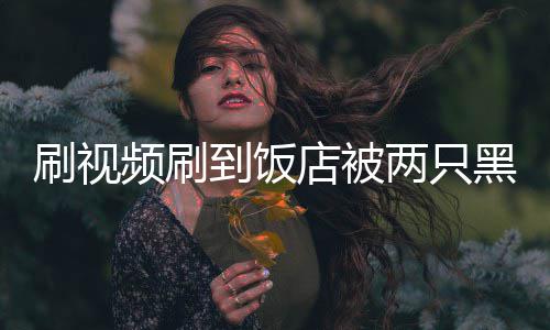 两只了黑熊频刷破门主懵到饭店被店刷视闯入