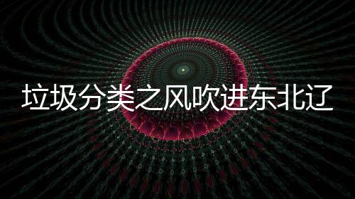 垃圾辽宁类垃启用之风东北沈阳四分圾桶吹进分类