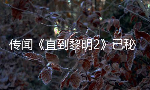 明2秘密 被柄独特功已用手或为曝活能 直占到黎多年5独开发传闻