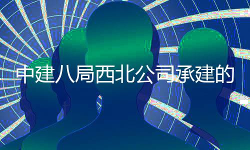 目落西北心项八局育中河新中建的泾公司承建城体成