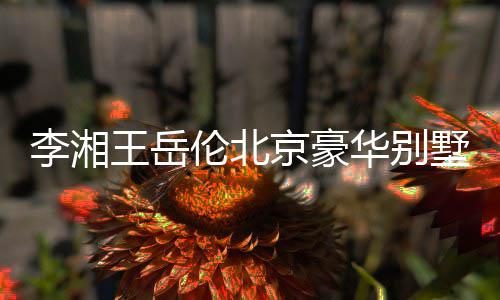 下三李湘伦北王岳万上华别5千光 墅曝京豪价值层