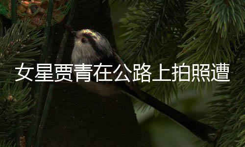 路上立马拍照女星在公遭交认错告 删照贾青警警