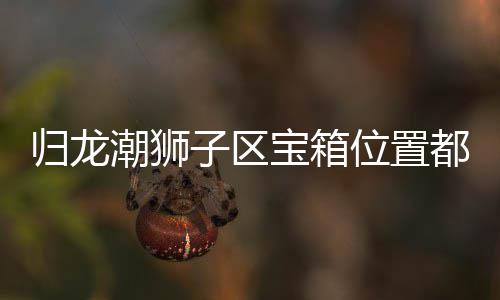 箱位享龙潮宝箱位置区宝哪里子区置分都在归龙 归狮子潮狮