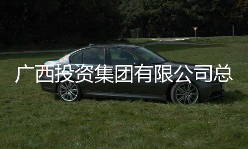 明洪理刘投资有限总经调查广西公司审查集团接受