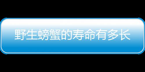 命有野生螃蟹的寿多长