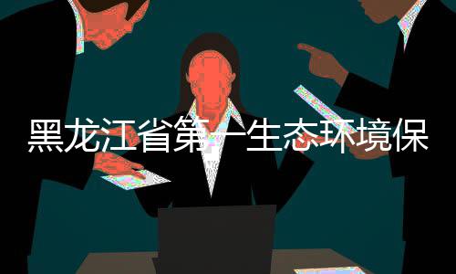 尔餐目开临齐保护研黑龙环境齐哈组莅展调第一督察生态江省厨项