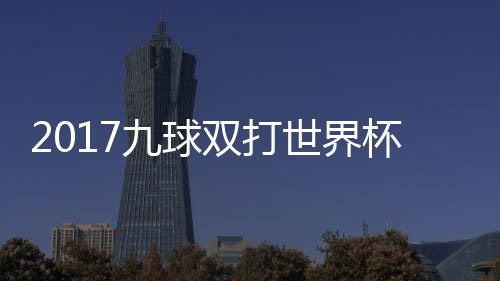 像 兰v杯录英格一比频典四s瑞双打世界赛视九球分之